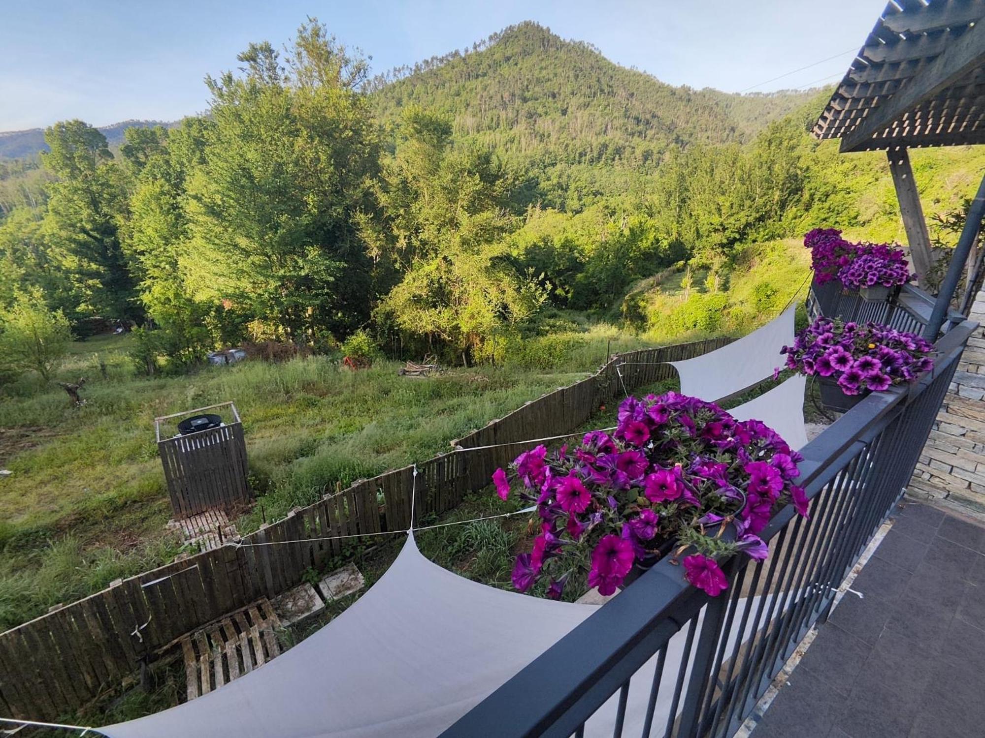 Terre Di Ginepro Alloggio per agriturismo Borghetto di Vara